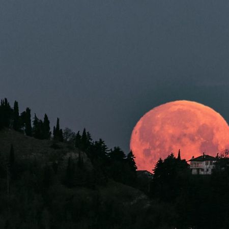 Corte Ca' Bosco Castello di Serravalle Eksteriør bilde